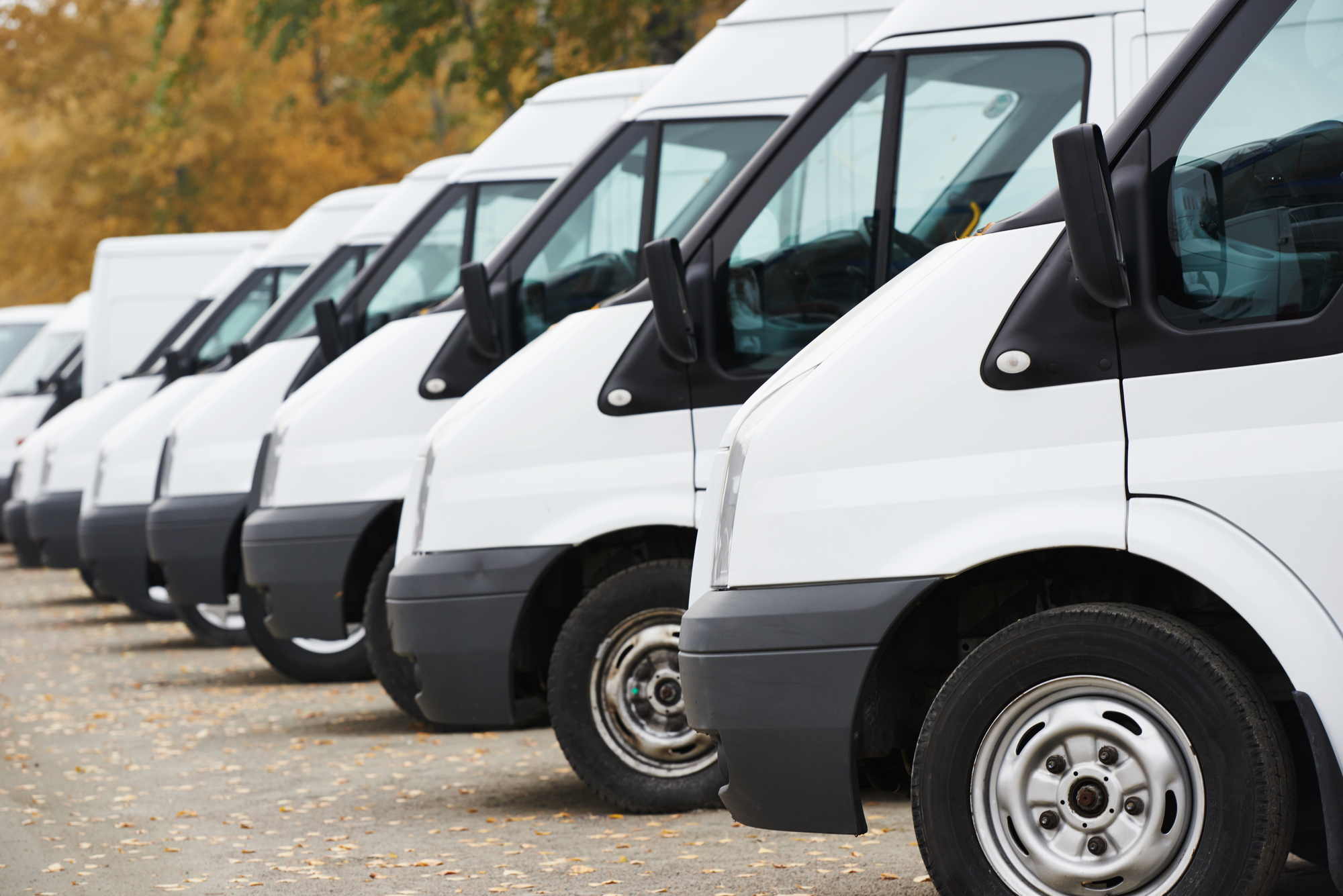 A row of parked white commercial vans.